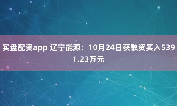 实盘配资app 辽宁能源：10月24日获融资买入5391.23万元